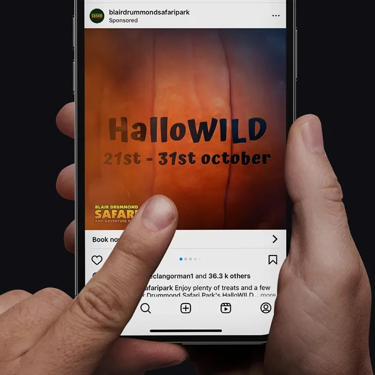 A phone showing a Blair Drummond Safari Park Instagram advert for HalloWILD, 21st to 31st October