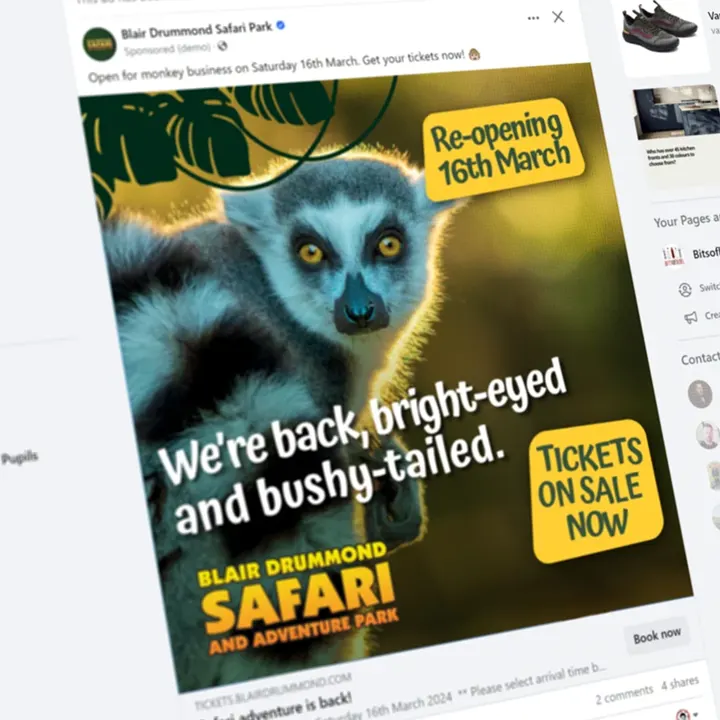 Blair Drummond Safari Park Facebook advert with a lemur: 'We're back, bright-eyed and bushy-tailed', re-opening 16th March