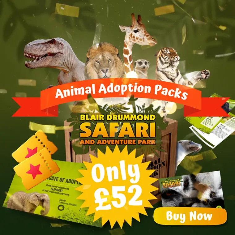 Blair Drummond Safari Park advert for Animal Adoption Packs, only £52