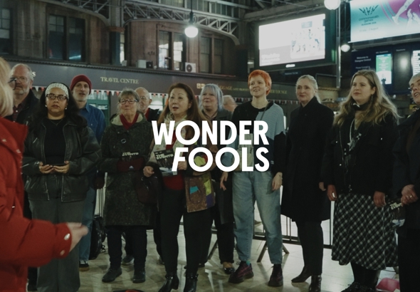 Wonderfools Header.jpg