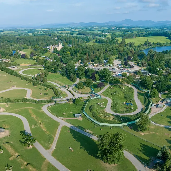 Aerial view of Blair Drummond Safari Park's grounds and winding roads
