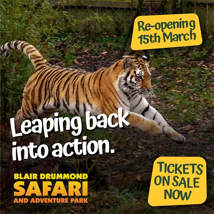 The official Blair Drummond re-opening poster, promoting the reopening on the 15th March, and encouraging people to purchase tickets.