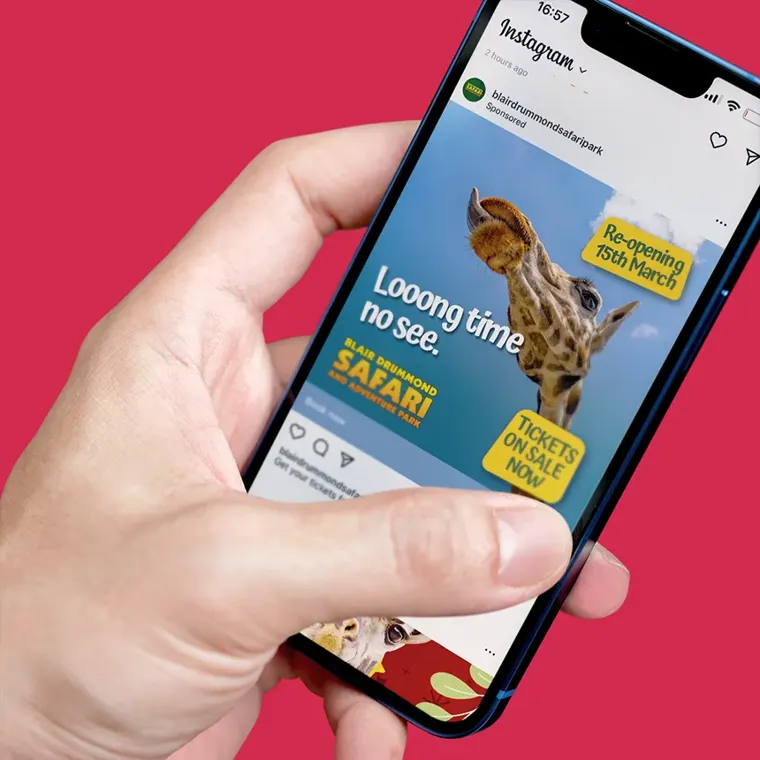 A hand holding a mobile phone showing a sponsored post for Blair Drummond Safari Park. The ad is promoting the re-opening on the 15th March, with text 'Long Time No See'